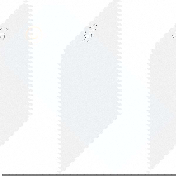 Blank Tag: 5-3/4'' High, White, Synthetic Paper